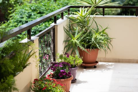 Deluxe Apartment | Terrace/patio