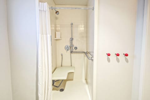 Room, 1 King Bed, Accessible | Bathroom shower