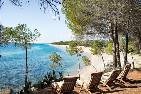 Private beach, white sand, free beach cabanas, sun loungers