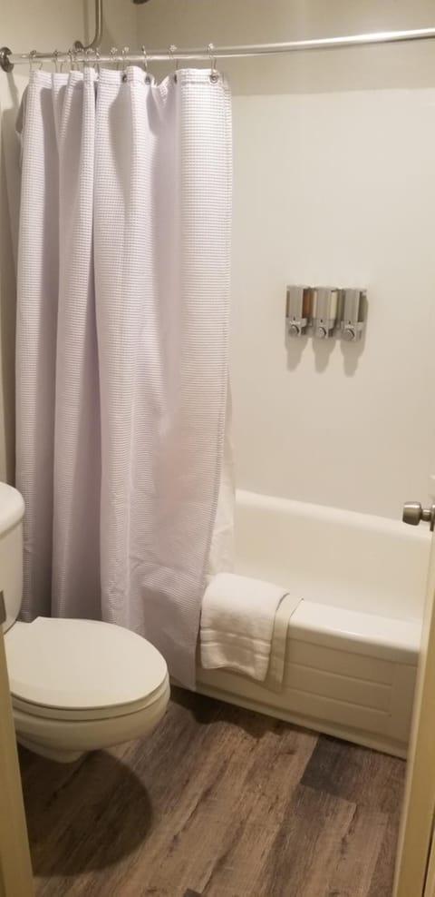 Combined shower/tub, hair dryer, towels