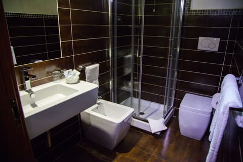 Shower, free toiletries, hair dryer, bidet