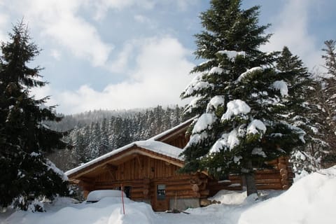 Chalet en rondin entouré forêt hiver neige location La Bresse Vosges