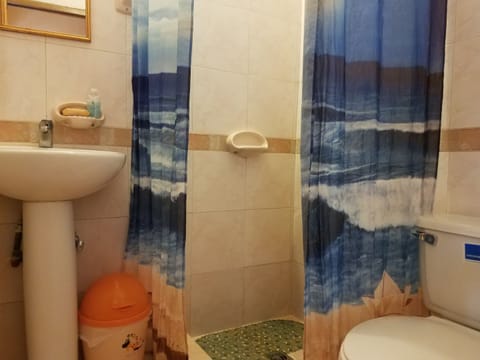 Superior Double or Twin Room | Bathroom | Shower, hair dryer, towels, soap