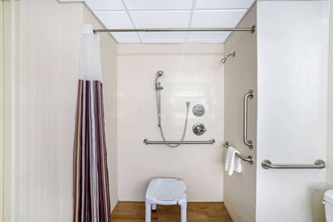 Combined shower/tub, free toiletries, hair dryer, towels