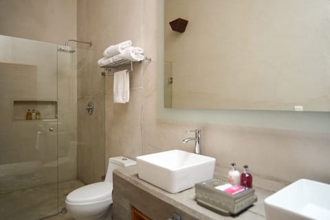 Suite Esperandote Hoy | Bathroom | Shower, free toiletries, hair dryer, bathrobes