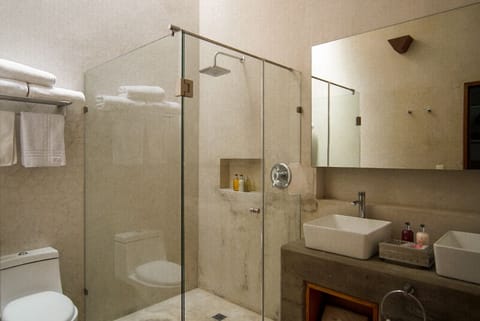 Suite Aromas | Bathroom | Shower, free toiletries, hair dryer, bathrobes