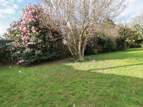 Cottage | Property grounds