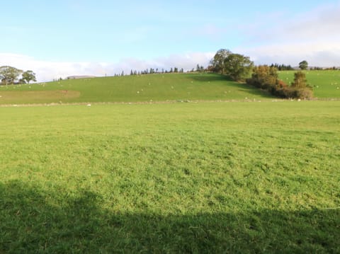 Cottage | Property grounds