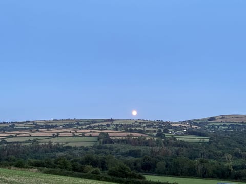 Cottage | Miscellaneous