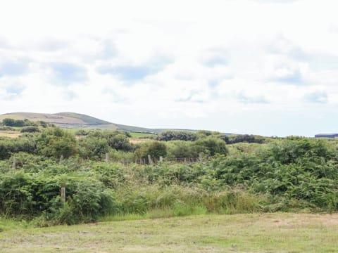 Cottage | Miscellaneous