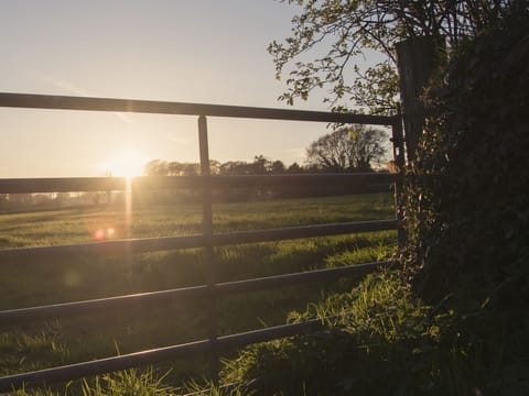 Cottage | Miscellaneous