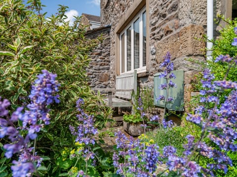 Cottage | Property grounds