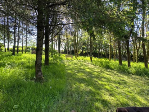 Cottage | Miscellaneous