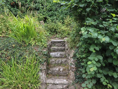 Cottage | Property grounds