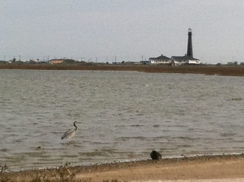 the view of the lighthouse from the beach nearby
