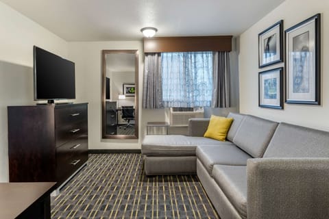 Basic Suite, 1 King Bed, Non Smoking | 1 bedroom, premium bedding, pillowtop beds, blackout drapes
