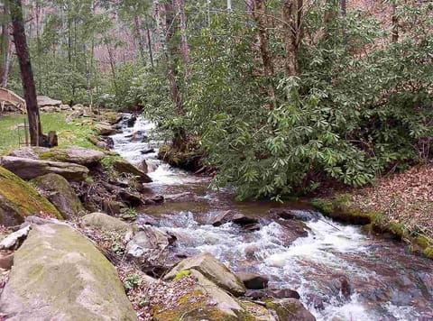 Bear Paw Falls, Rushing Creek