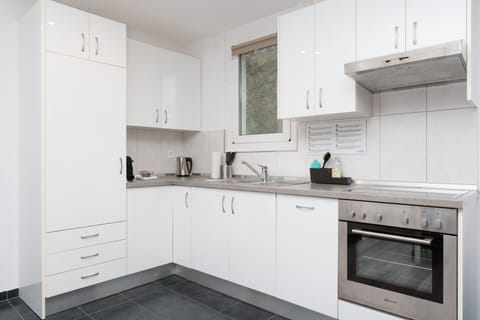 Deluxe Apartment, City View | Private kitchen | Full-size fridge, oven, stovetop, dishwasher