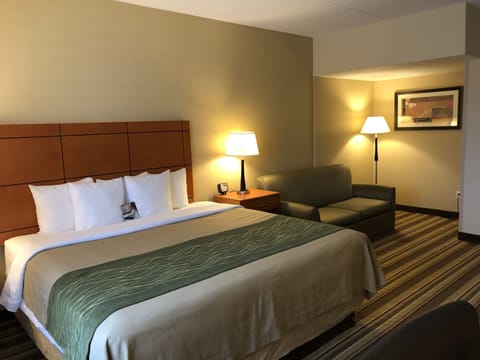 Deluxe Room, 1 King Bed with Sofa bed, Non Smoking (2 Person Sofa bed, Shower only) | Premium bedding, laptop workspace, blackout drapes, iron/ironing board