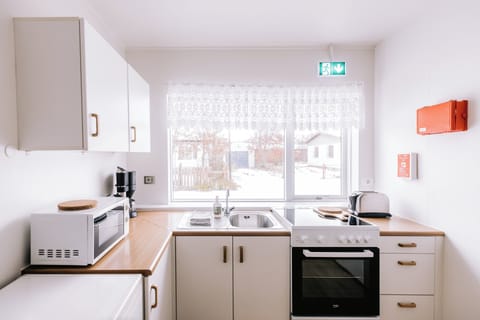 Apartment, 1 Bedroom | Private kitchen | Fridge, microwave, oven, stovetop