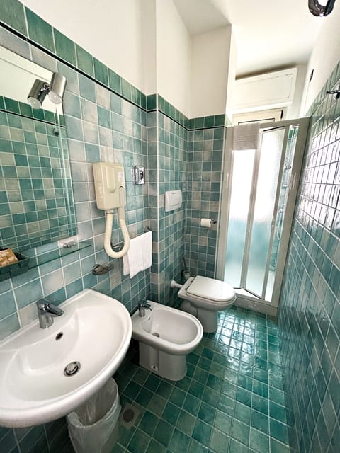 Shower, free toiletries, hair dryer, bidet