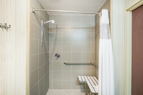 Room, 1 King Bed, Accessible, Non Smoking | Bathroom shower