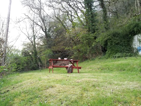 Part of the secluded cottage garden - with bench