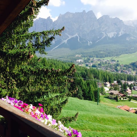 Cortina view from the balcony