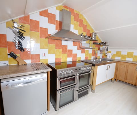 Aga style electric cooker-dishwasher