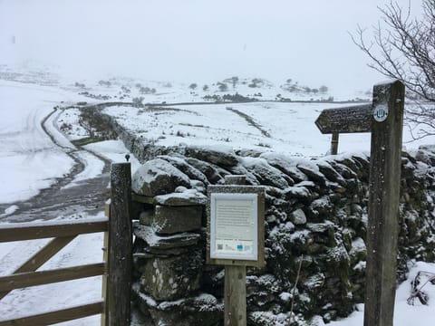 Winter walks and sledging close by