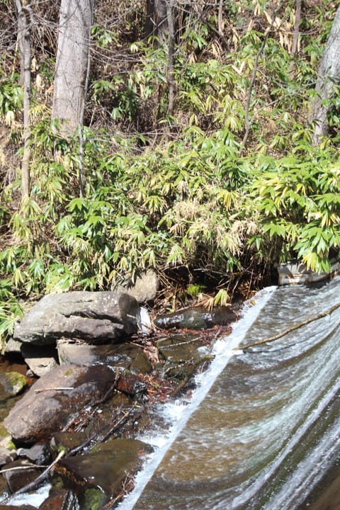 Back side of the dam at Lake Susan