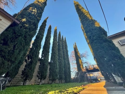 view from the bedroom window