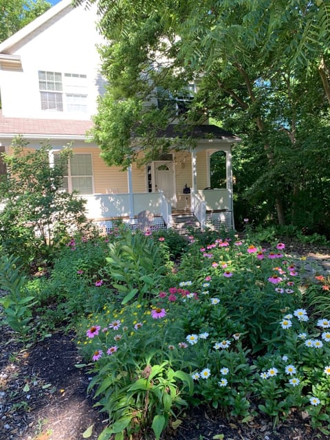 Our Lakeside cottage garden, feel free to cut flowers during your stay