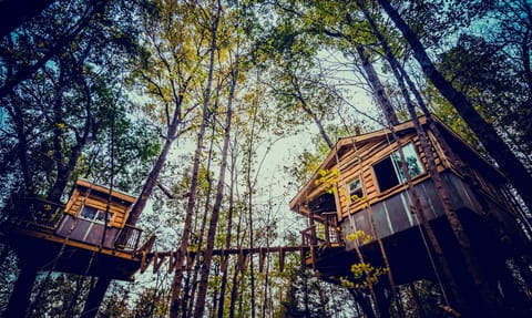 View of this beautiful treehouse. Main cabin on right. Snuggle on left