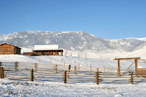 Summer At The Ranch