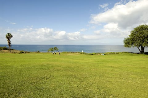 Beach nearby, white sand