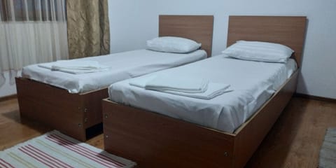 Basic Twin Room, 2 Twin Beds | 1 bedroom, desk, soundproofing, free WiFi