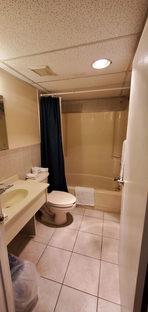 Deluxe Double Room | Bathroom | Combined shower/tub, free toiletries, towels