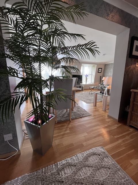 Executive Penthouse, 2 Bedrooms (Apartment 1 ) | Living area | Flat-screen TV, DVD player