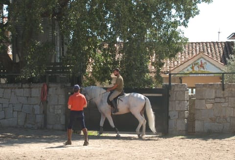 Horseback riding