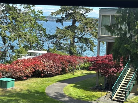 Your views from your outside patio