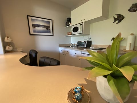 Gallery style Kitchenette