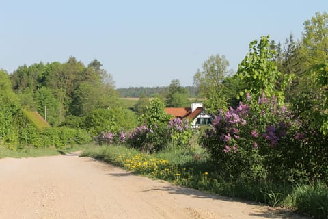 Land view from property