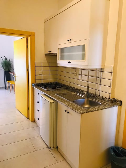 Family Apartment | Private kitchen | Fridge, electric kettle