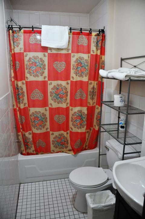 Combined shower/tub, free toiletries, hair dryer, towels