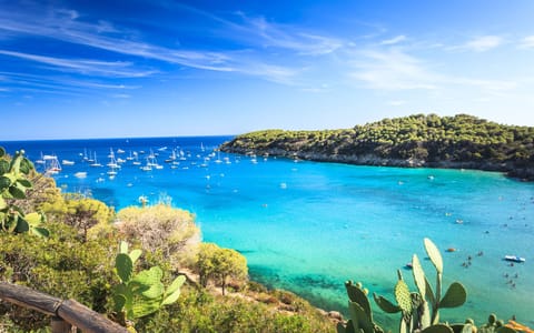 Beach nearby, white sand