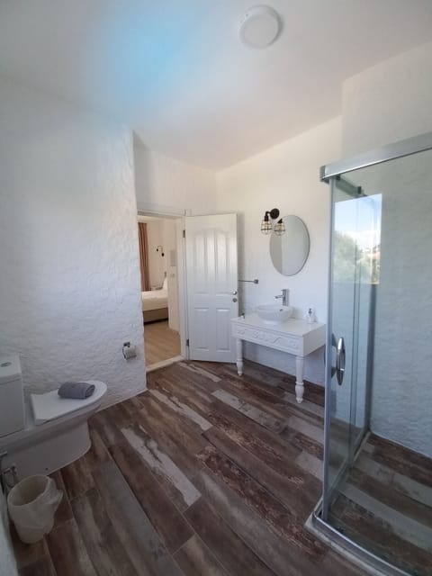 Deluxe Room | Bathroom | Shower, rainfall showerhead, free toiletries, hair dryer