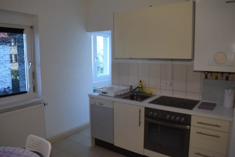 Apartment, 2 Bedrooms (22-00) | Private kitchen | Fridge, stovetop, dishwasher, coffee/tea maker