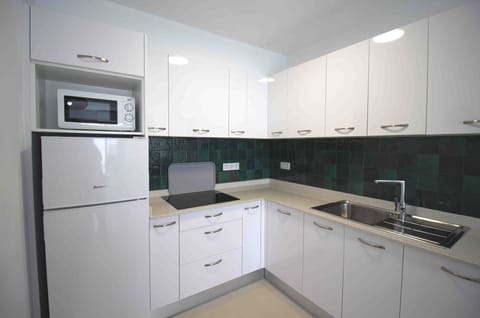 Comfort Apartment, 1 Bedroom, Terrace | Private kitchen | Fridge, microwave, stovetop, coffee/tea maker