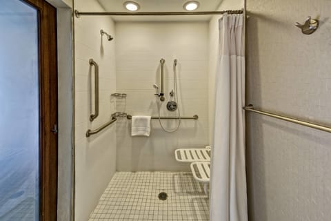 Combined shower/tub, free toiletries, hair dryer, towels